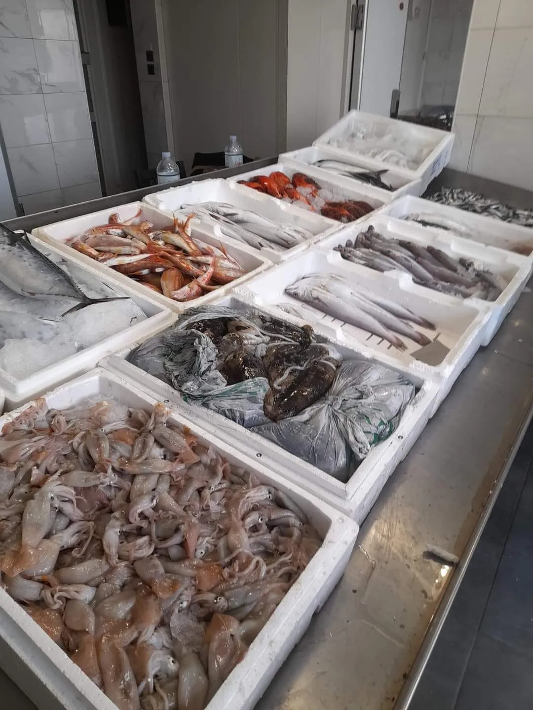 Premium Aegean seafood selection for villa guests and yacht chefs in Skiathos